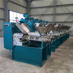 花生花生種子報(bào)價(jià) 廠家